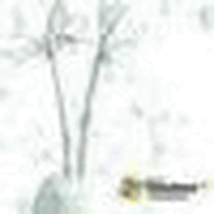 новые сериалы русские 2025 через торрент